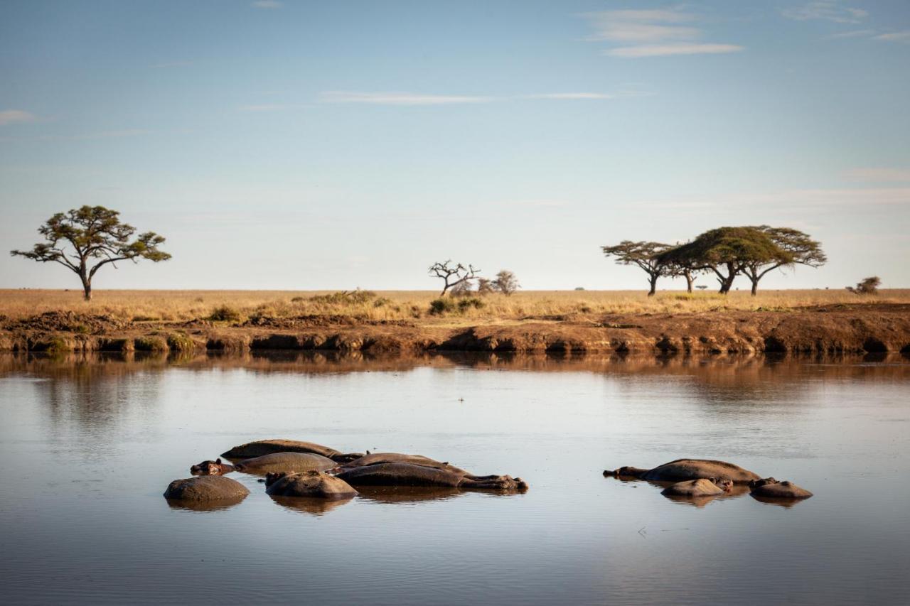 Mawe Tented Camp Serengeti Kültér fotó