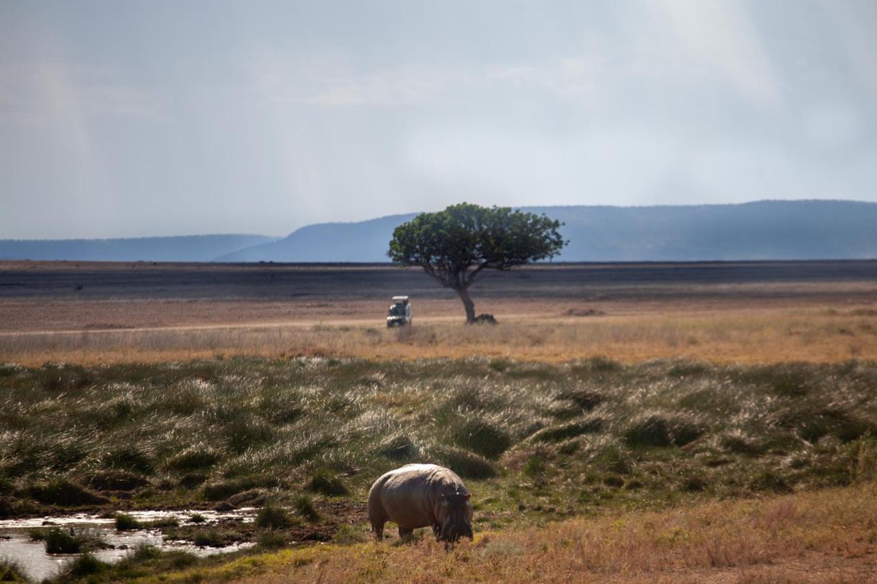 Mawe Tented Camp Serengeti Kültér fotó