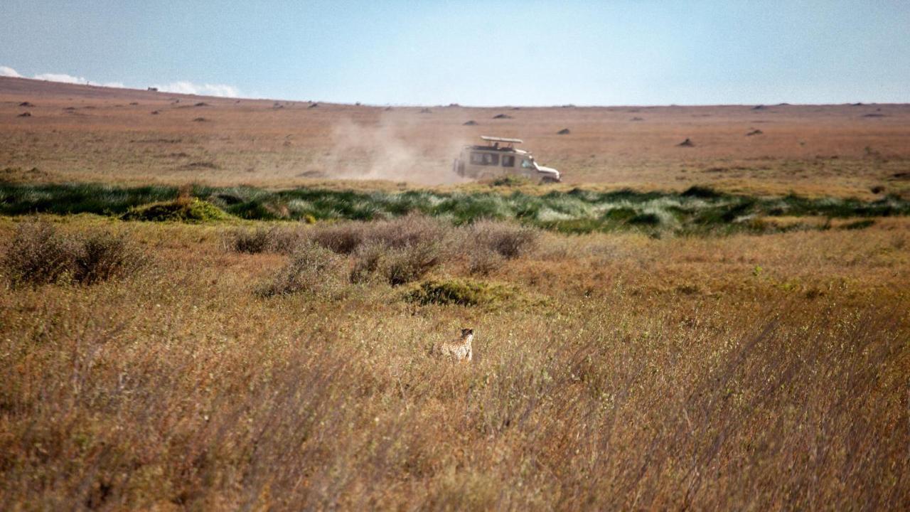 Mawe Tented Camp Serengeti Kültér fotó