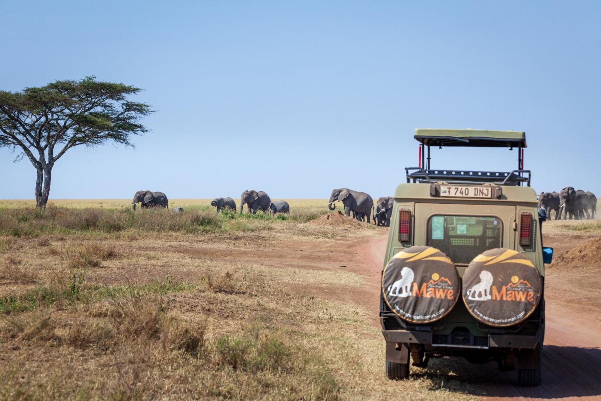 Mawe Tented Camp Serengeti Kültér fotó