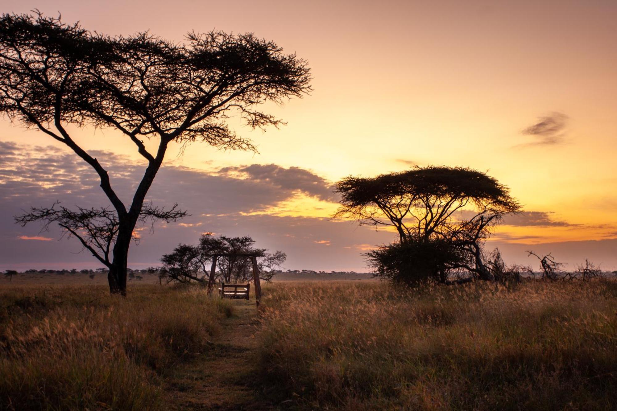 Mawe Tented Camp Serengeti Kültér fotó